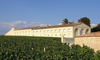 Chateau-Mouton-Permission-6-4.jpg