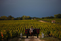 Pontet-Canet_Harvest-2010_07.jpg