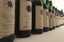 italy-wines.jpg