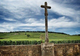 Vineyards-of-Domaine-Romanee-Conti-and-iconic-image-of-their-cross.jpg