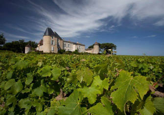 Chateau-dYquem-Vines-Permission-6-Unknown-2.jpg