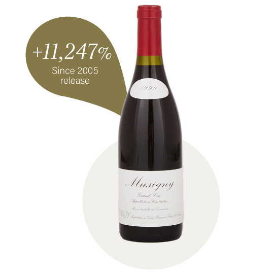 How Much Money Should You Invest In Wine? Wine Investment