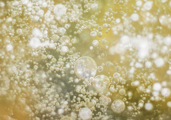 bubbles-520px.png